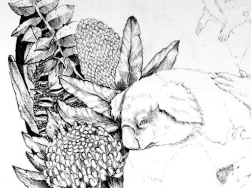 Oil Painting: Still Life